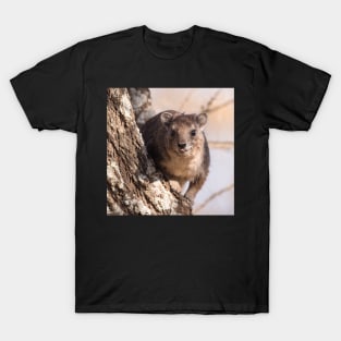 Tree Hyrax T-Shirt